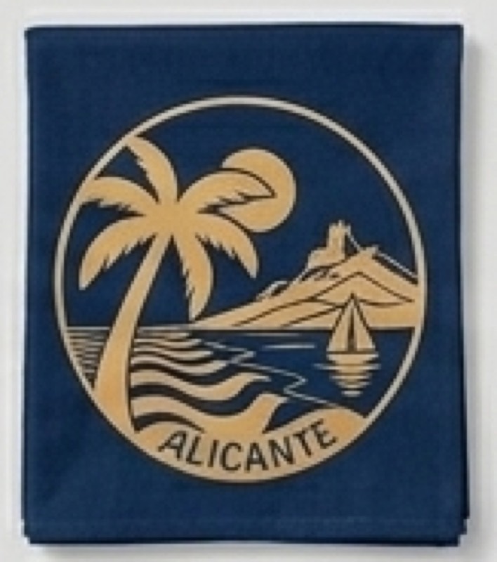 Delantales y Paños 10